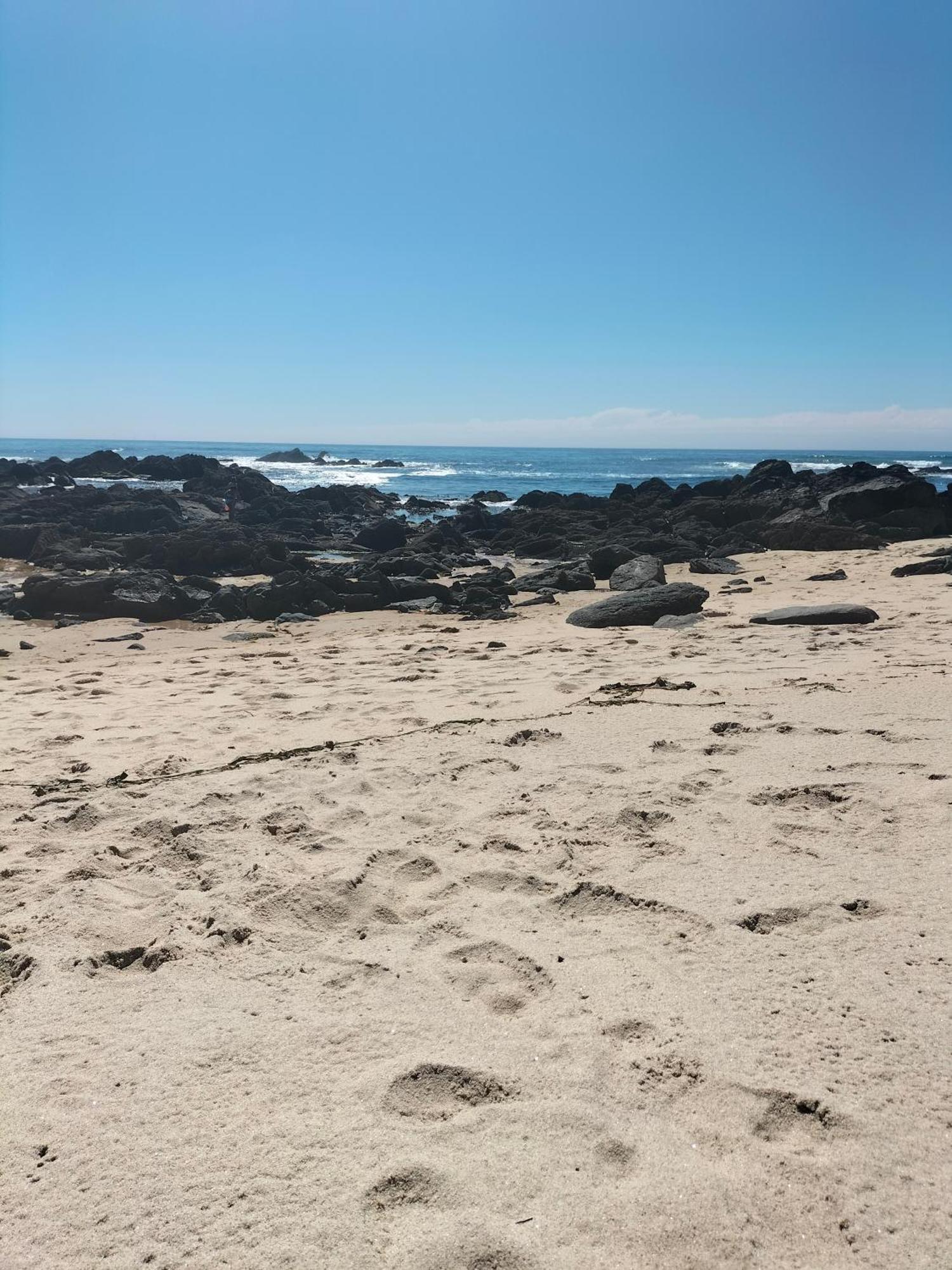 Vila Casa De Madeira E Pedra Afife Exteriér fotografie